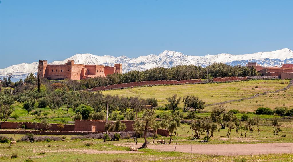 Tazrou 里亚德苏塔尼旅馆酒店 外观 照片
